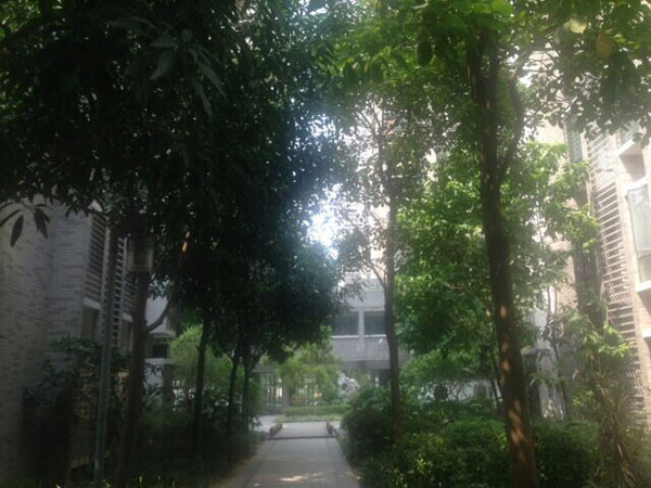 揭陽麗昂少兒外語-外教公寓外景 揭陽麗昂少兒外語-外教公寓外景