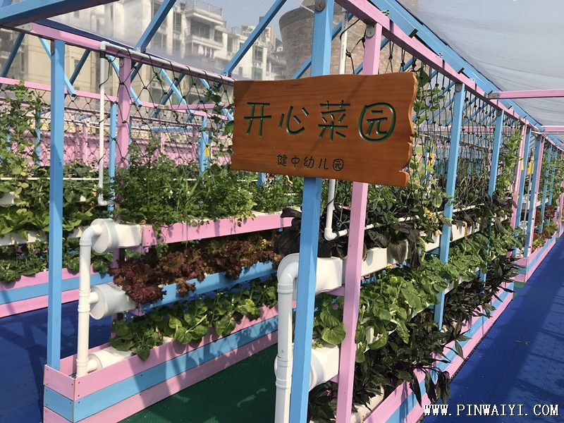 開心菜園.jpg 開心菜園.jpg
