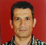 澳大利亞本科外教的照片