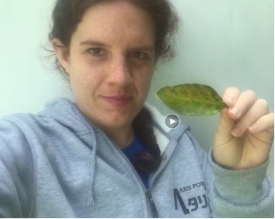 美國本科外教的照片