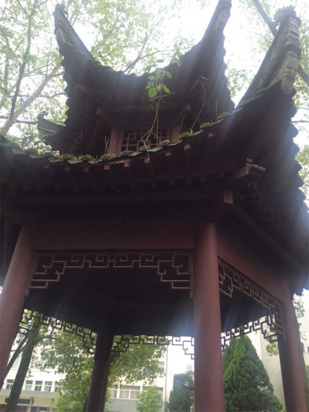 澳大利亞國際教育課程管理中心-周邊環(huán)境