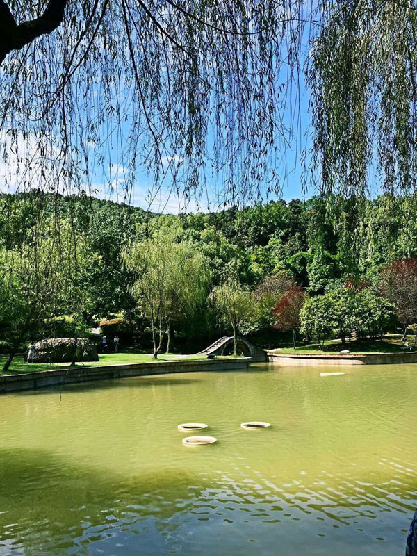 愛貝國際少兒英語株洲中心株洲風景