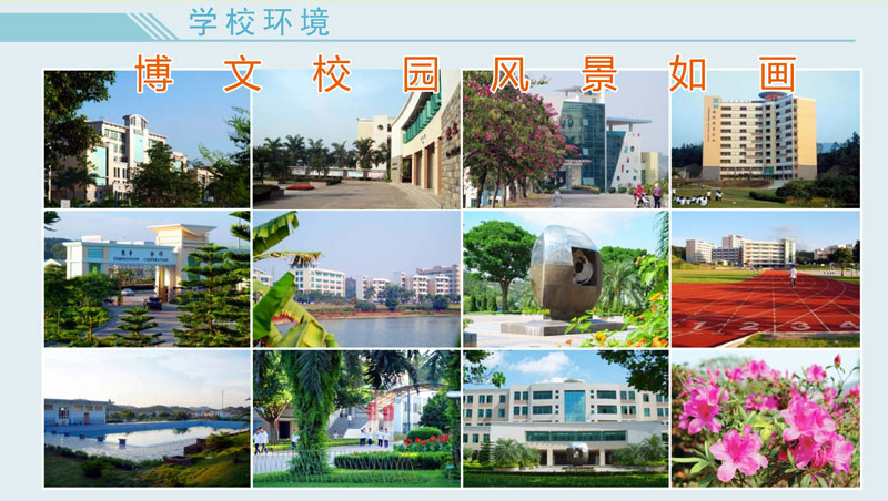 中山市廣東博文學(xué)校校園相關(guān)圖片