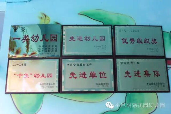 臨沂市平邑縣康樂幼兒園榮譽(yù)展示