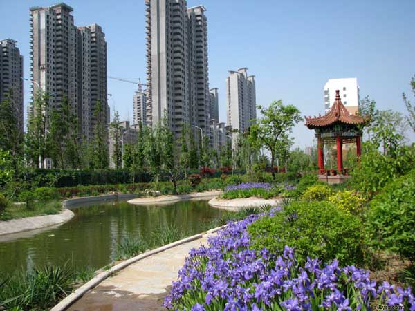 美國索斯蘭中學臨沂四中分校相關圖片