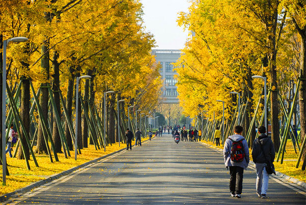 電子科技大學(xué)校園風(fēng)景