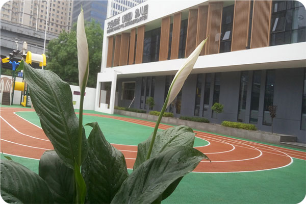 石家莊文合國際幼兒園教學(xué)環(huán)境