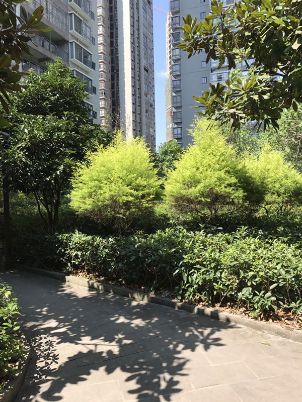意運(北京)品牌顧問有限公司外教公寓周邊環(huán)境